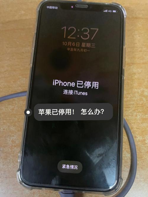 苹果iphone已停用连接itunes怎么办，iphone已停用连接itunes什么原因-第2张图片-优品飞百科