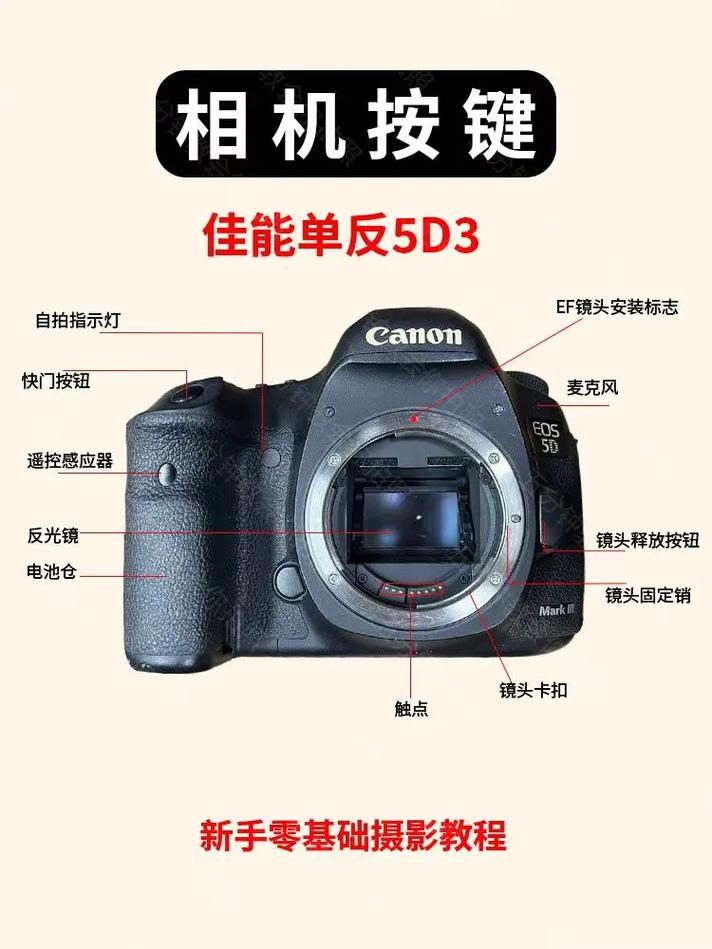 佳能5d3机身报价二手，佳能5d3二手费用？-第2张图片-优品飞百科