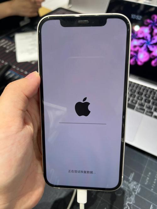 xr白苹果了怎么强制开机？iphone xr 白苹果怎么进入刷机？-第2张图片-优品飞百科