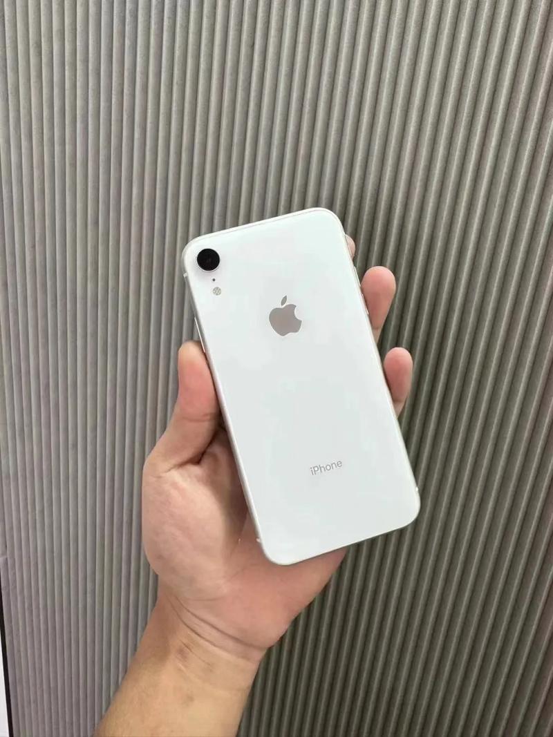 xr白苹果了怎么强制开机？iphone xr 白苹果怎么进入刷机？-第5张图片-优品飞百科