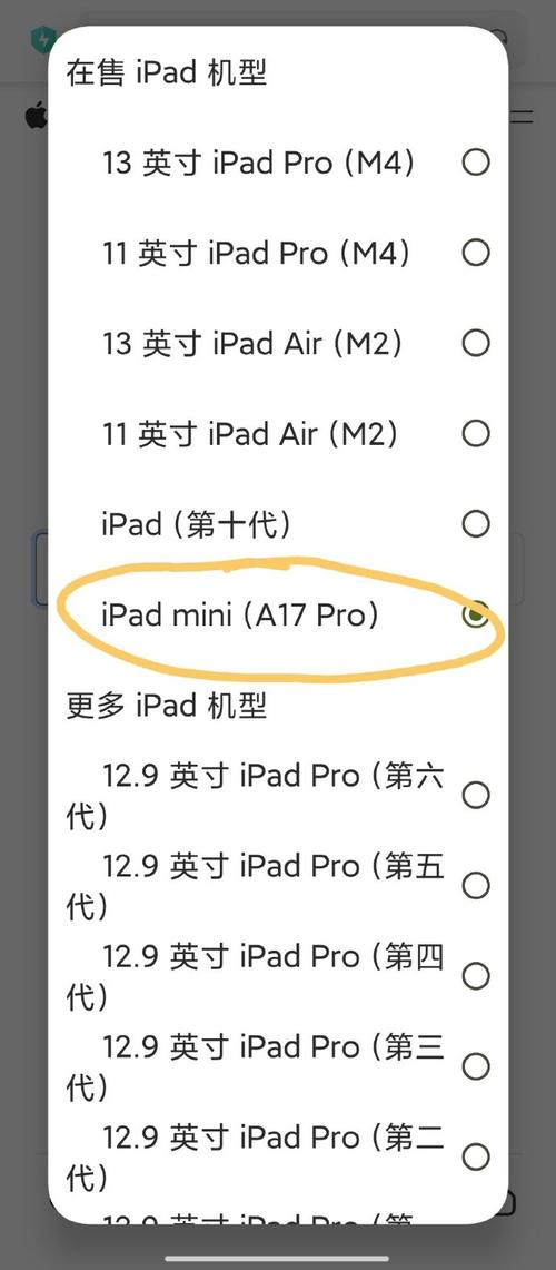 ipad迷你二怎么升级不了了？ipad迷你二怎么更新ios13？-第7张图片-优品飞百科