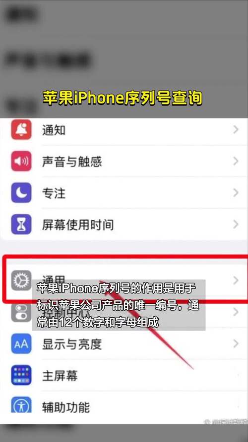 iphone序列号查询怎么查，iphone序列号查询结果怎么看-第5张图片-优品飞百科