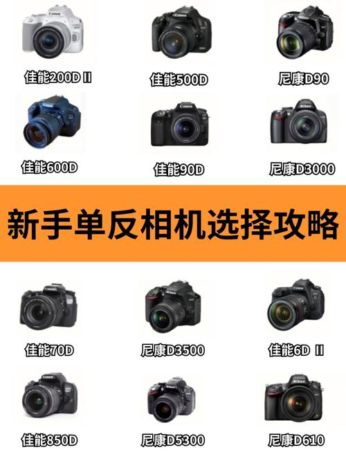 佳能500d费用多少，佳能eos500d多少钱？-第3张图片-优品飞百科