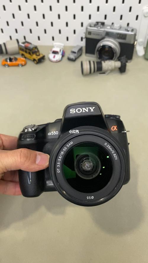 索尼a550现在怎么样？索尼a55什么水平？-第2张图片-优品飞百科