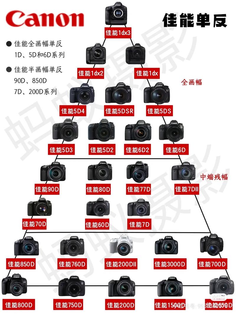 单反相机镜头种类及功能，单反镜头有几种-第4张图片-优品飞百科