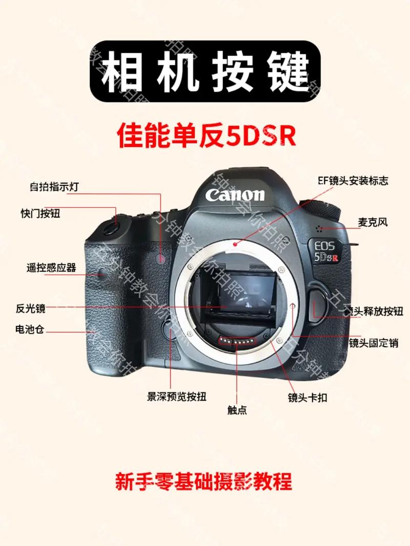 佳能5ds功能介绍，佳能5ds功能介绍视频-第1张图片-优品飞百科