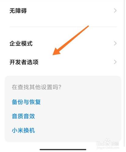 小米开发者选项在哪里找？小米开发者选项在哪儿？-第2张图片-优品飞百科