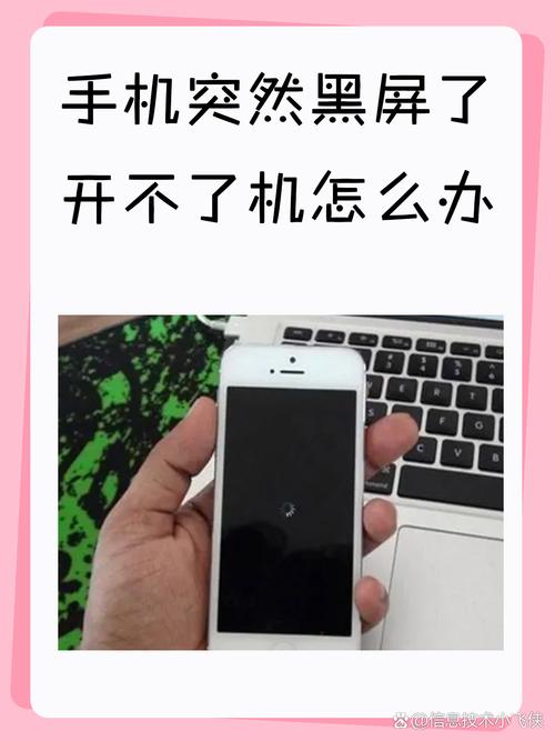 iphone12怎么强制重启，iphone12怎么强制重启关机-第6张图片-优品飞百科