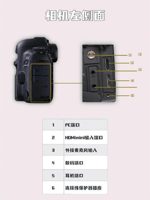 佳能5d4配什么镜头？佳能5d4配什么镜头好看？-第6张图片-优品飞百科