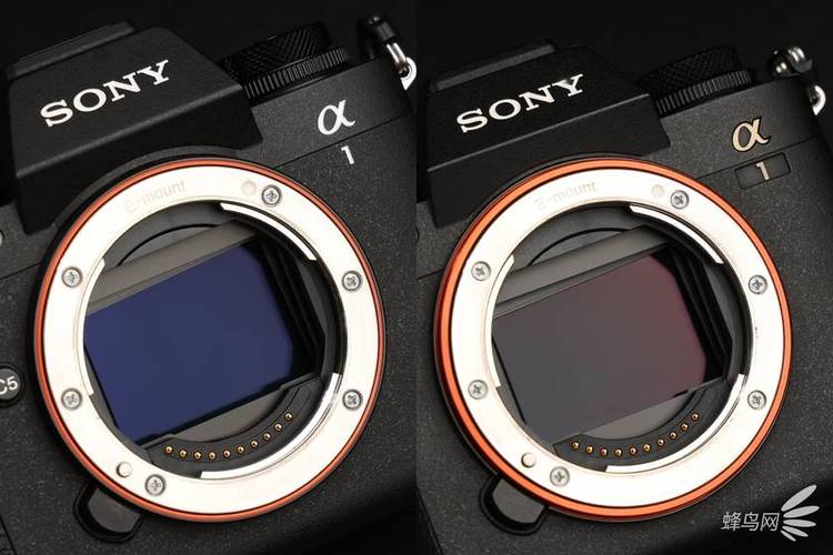 索尼rx10m2和m3选哪个，索尼rx10 m3？-第2张图片-优品飞百科