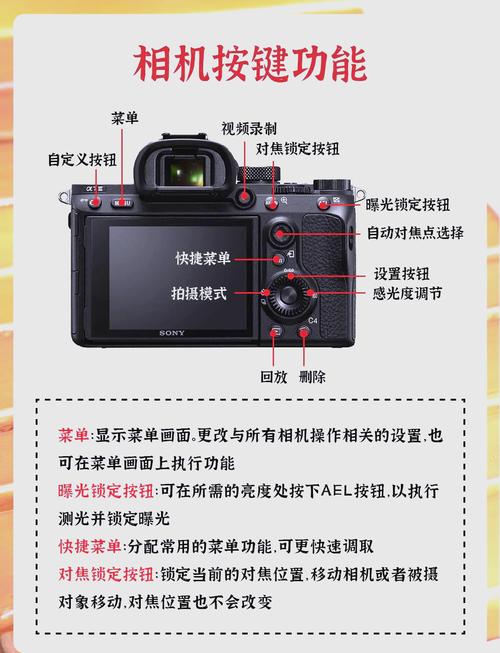 索尼rx10m2和m3选哪个，索尼rx10 m3？-第3张图片-优品飞百科