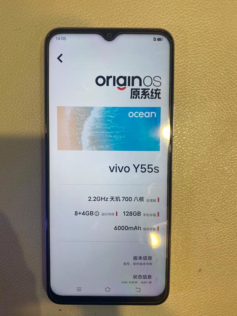 vivoy55多少英寸？vivoy55a尺寸？-第5张图片-优品飞百科