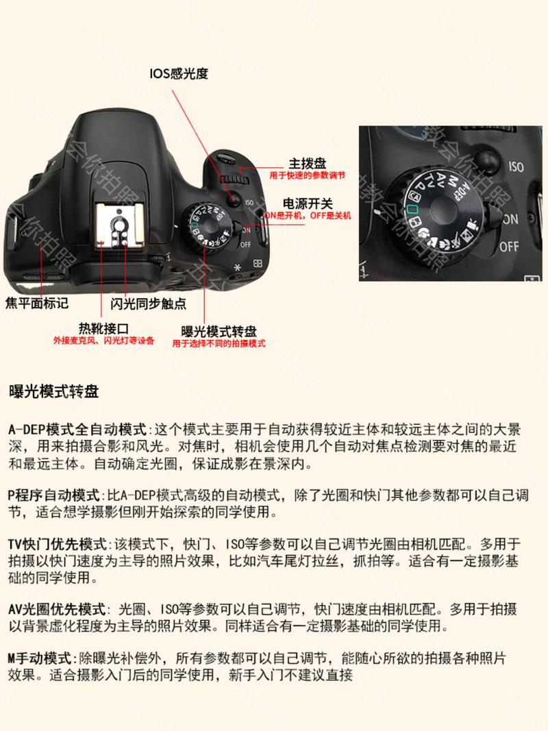 佳能相机按钮的功能介绍，佳能相机按钮的功能介绍图？-第2张图片-优品飞百科