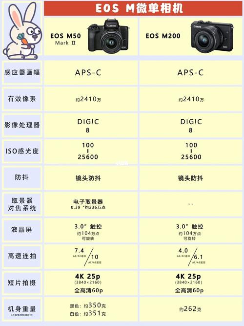 佳能r6套机怎么样，佳能r6使用感受？-第3张图片-优品飞百科