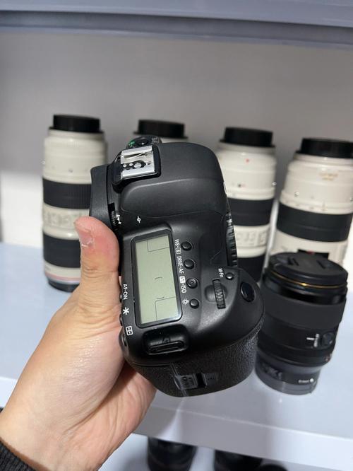 二手佳能eos5d费用，二手佳能5d机身报价？-第4张图片-优品飞百科