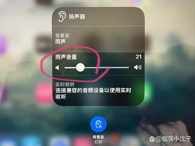 ipad没有声音怎么办？苹果扬声器没有声音怎么恢复正常？-第3张图片-优品飞百科