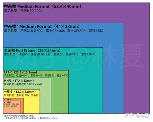 新手买ccd相机还是数码相机，新手买ccd相机还是数码相机好？-第2张图片-优品飞百科