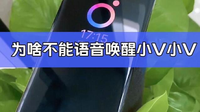 苹果siri怎么用不了？iphone siri用不了？-第6张图片-优品飞百科