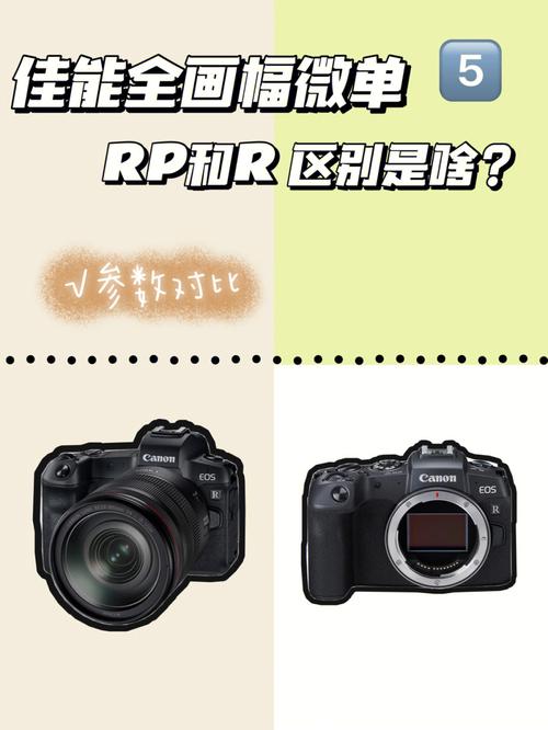 佳能r值得买吗，现在买佳能r还是等r6出来-第3张图片-优品飞百科