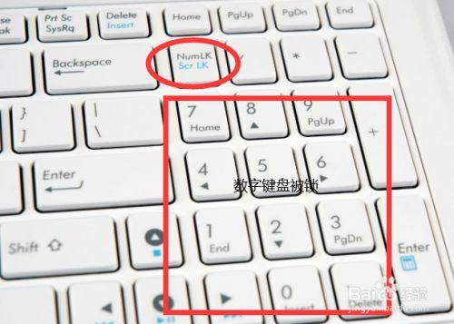 笔记本键盘变数字怎么调回来，笔记本电脑键盘变成数字了怎么解锁？