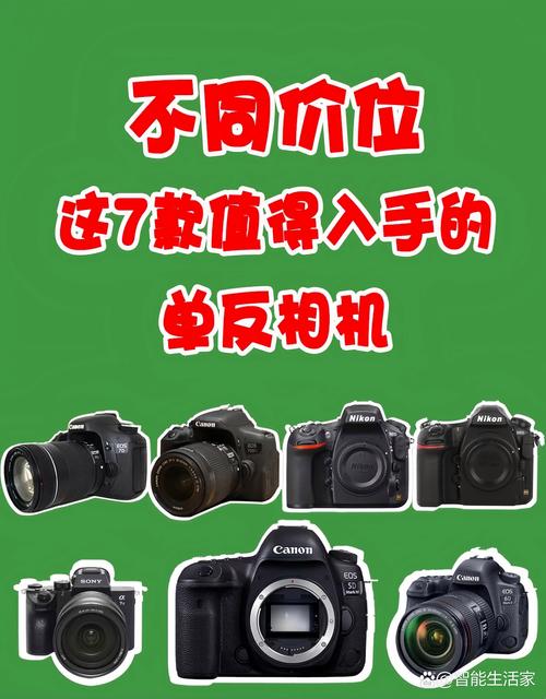 数码照相机和单反的区别，数码相机和单反有什么不一样？-第5张图片-优品飞百科