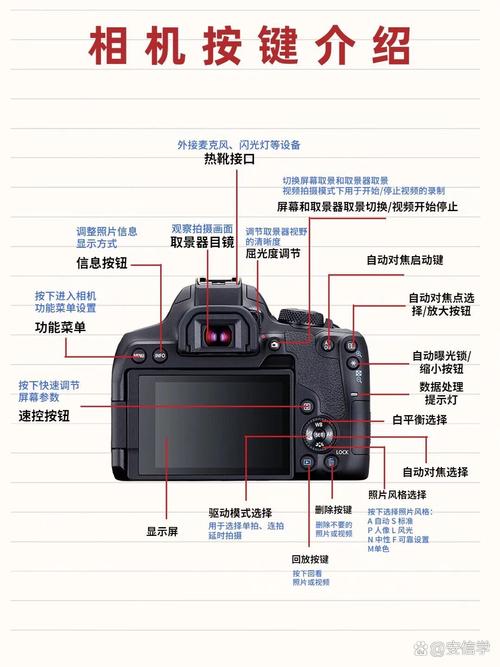 佳能850d机身重量，佳能850d多少像素？-第2张图片-优品飞百科