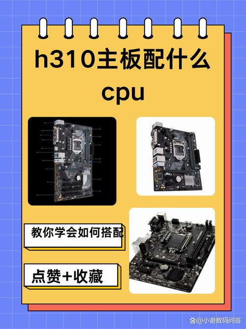 h310配什么cpu？h310配什么显卡？-第3张图片-优品飞百科