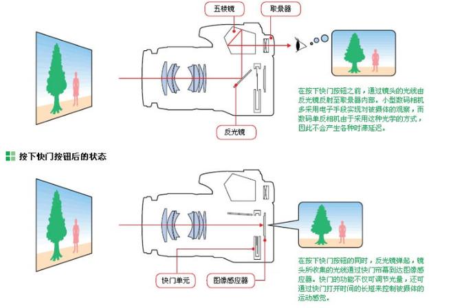 数码单反相机取景的核心构件是反光板和五棱镜吗，数码单反相机的取景方式为-第2张图片-优品飞百科