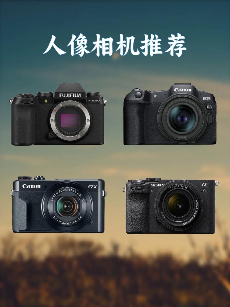 佳能ixus60和310hs哪个好？佳能310hs怎么样？-第4张图片-优品飞百科