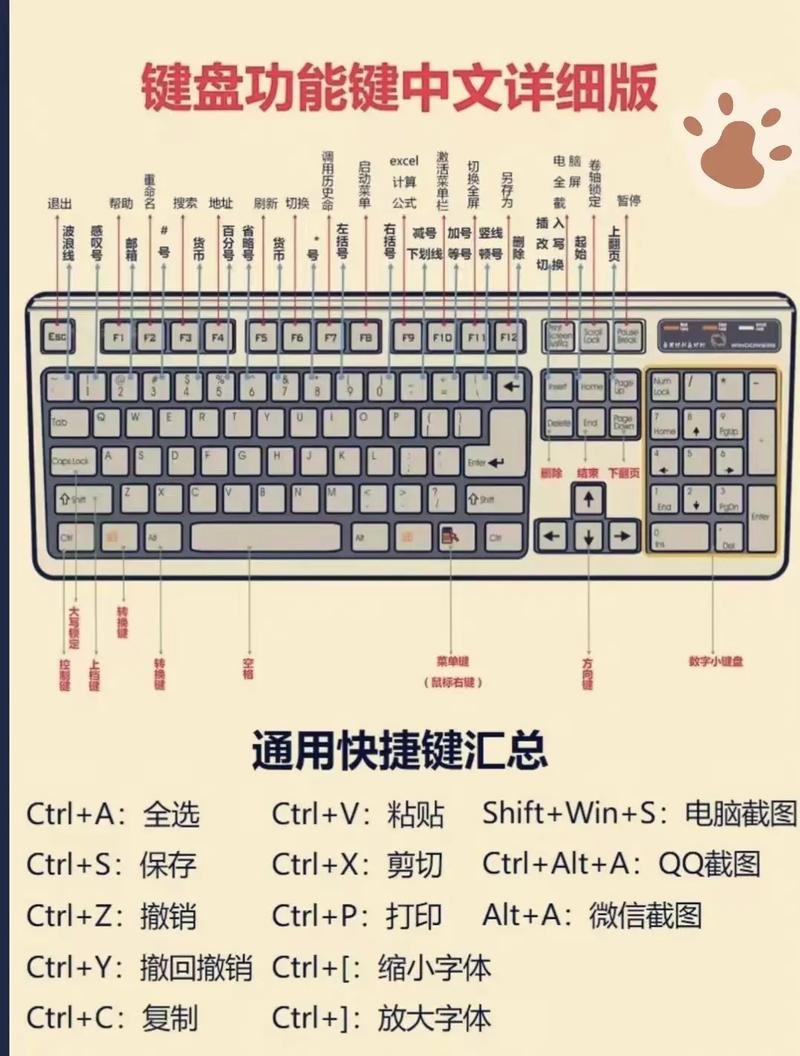 笔记本电脑数字键开关是哪个，笔记本开启数字键按钮-第8张图片-优品飞百科