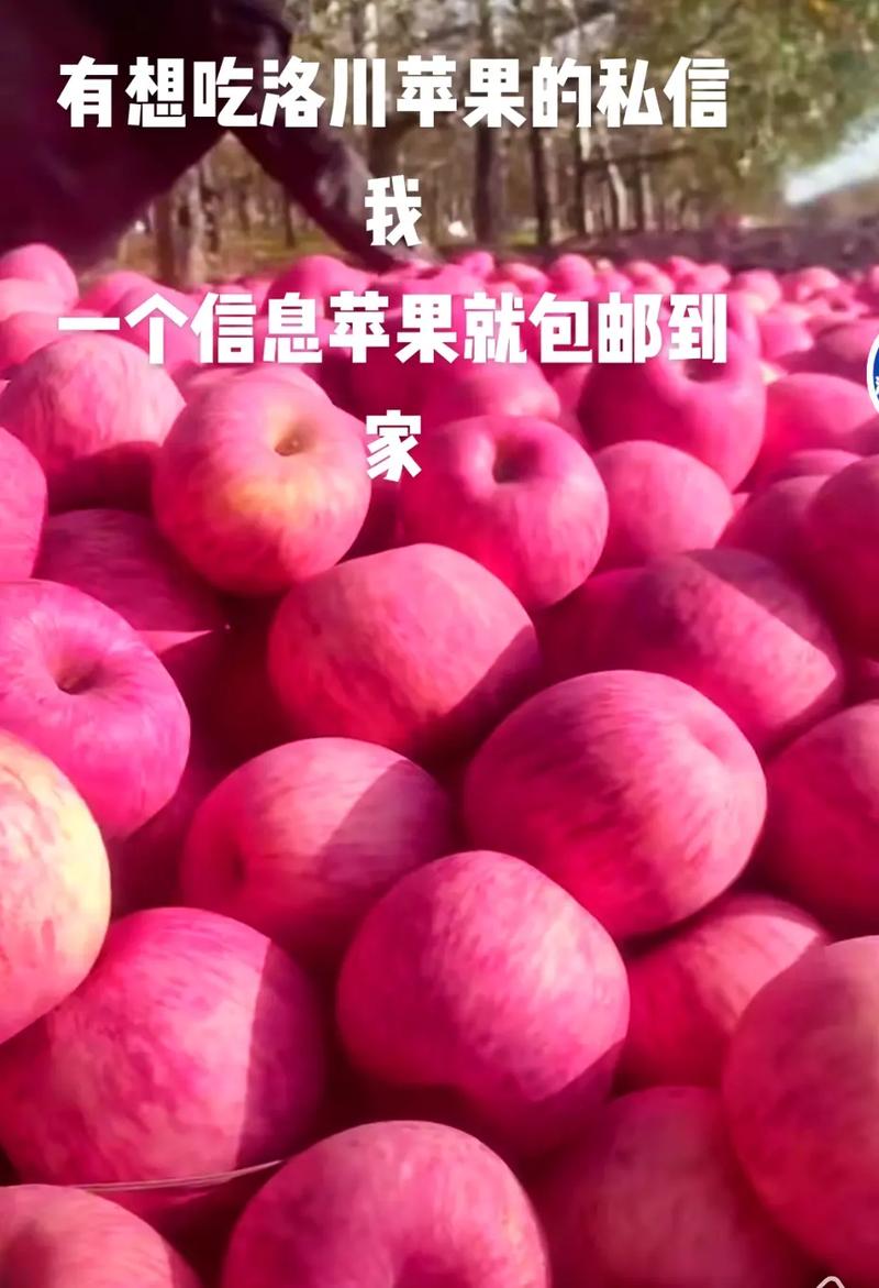 苹果9多少钱现在多少钱，苹果9多少钱?-第5张图片-优品飞百科