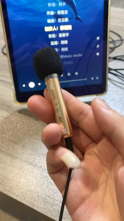 不用幻象电源的电容麦好用吗，电容麦必须用幻象电源吗？-第1张图片-优品飞百科