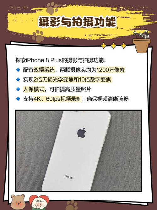 iphone8plus对比？iphone8plus对比iphone13promax？-第4张图片-优品飞百科