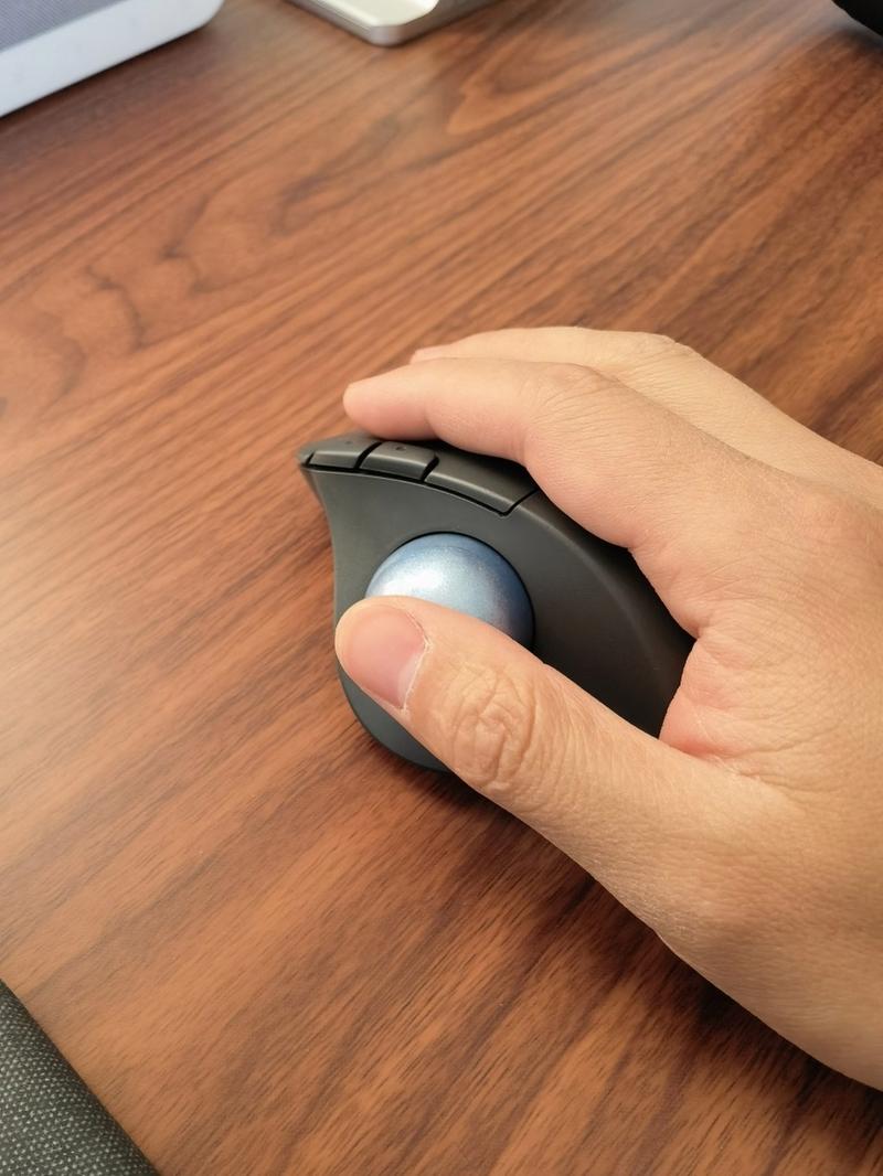 轨迹球鼠标能打游戏吗,轨迹球鼠标能打游戏吗怎么设置?-第3张图片-优品飞百科 轨迹球鼠标能打游戏吗,轨迹球鼠标能打游戏吗怎么设置?-第3张图片-优品飞百科