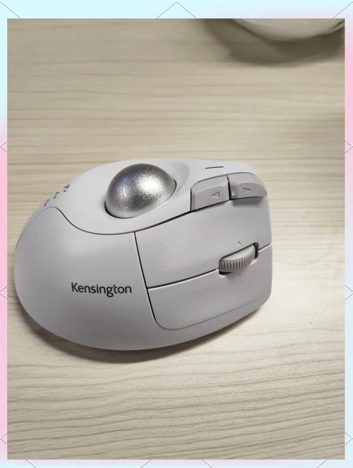 轨迹球鼠标能打游戏吗,轨迹球鼠标能打游戏吗怎么设置?-第5张图片-优品飞百科 轨迹球鼠标能打游戏吗,轨迹球鼠标能打游戏吗怎么设置?-第5张图片-优品飞百科