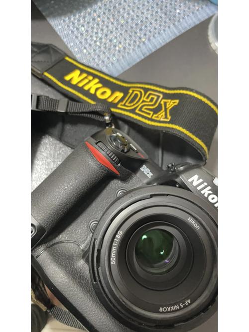 尼康d2x电池性能几个算好？尼康l22电池？-第4张图片-优品飞百科