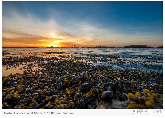 尼康半画幅最实用的三个镜头，尼康半幅比较好镜头-第7张图片-优品飞百科