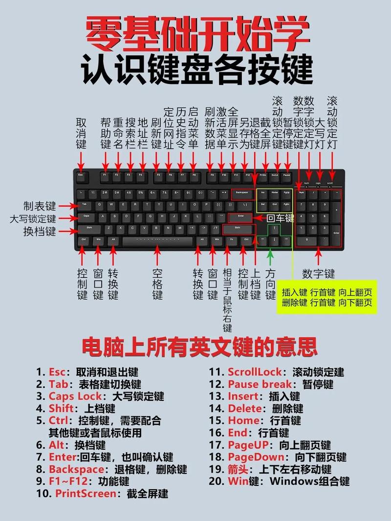 怎样学习电脑知识，学电脑知识的视频教程-第5张图片-优品飞百科