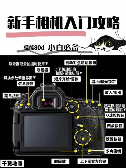 佳能80d怎么调光圈？佳能eos80d怎么调光圈？-第3张图片-优品飞百科
