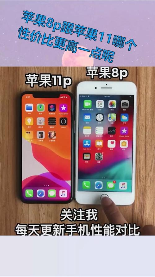 苹果8p与苹果xr哪个实用,苹果8p和苹果xr怎么选-第5张图片-优品飞百科 苹果8p与苹果xr哪个实用,苹果8p和苹果xr怎么选-第5张图片-优品飞百科