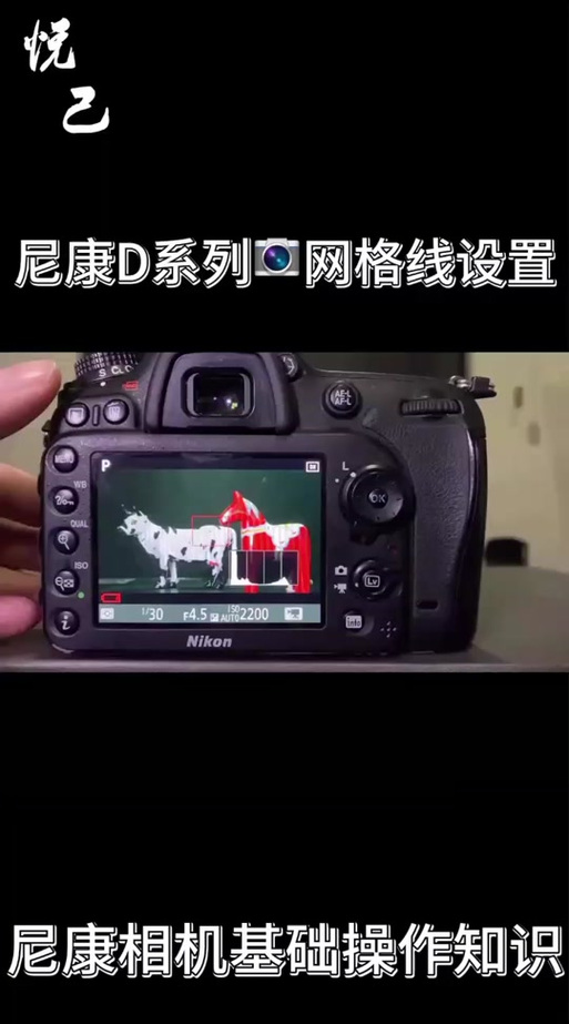 尼康d3000怎么录像？尼康d300怎么录视频？-第5张图片-优品飞百科