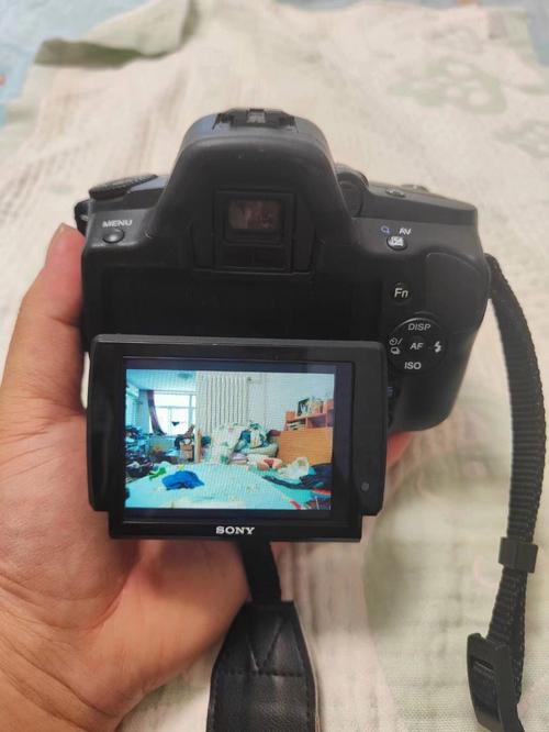 索尼a390二手多少钱，索尼a390评测