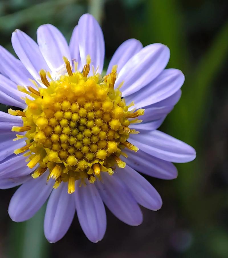 佳能1018镜头值得买吗？佳能1018镜头怎么样？-第2张图片-优品飞百科