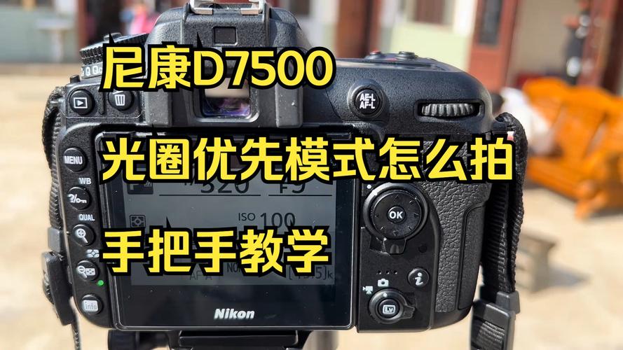 尼康d7000自拍模式怎么调？尼康d7000自动拍照怎么设置？-第3张图片-优品飞百科