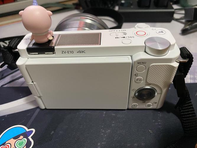 绿巨能和沣标相机电池哪个好？沣标电池和绿联？-第6张图片-优品飞百科