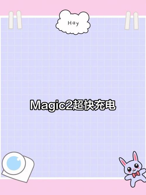 荣耀magic2充电器多少w，荣耀magic2充电器是什么接口的