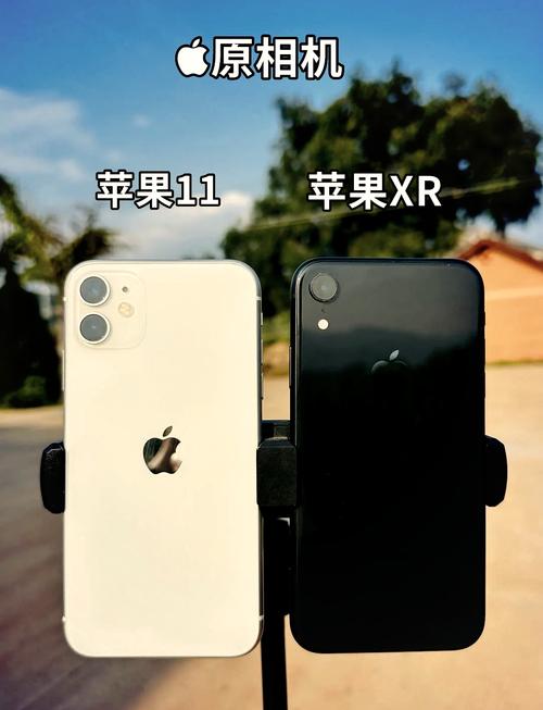 苹果xr和11有什么区别,苹果xr和11有什么区别-第2张图片-优品飞百科 苹果xr和11有什么区别,苹果xr和11有什么区别-第2张图片-优品飞百科