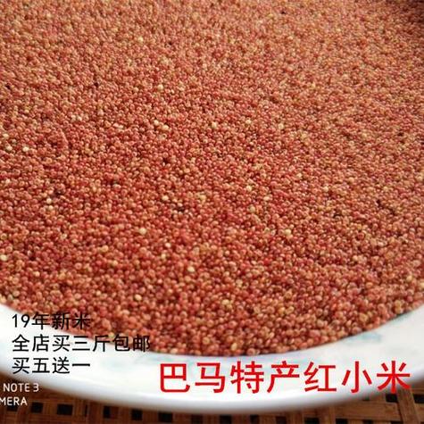 小米卖多少钱一斤，小米多少一斤 市场价-第6张图片-优品飞百科