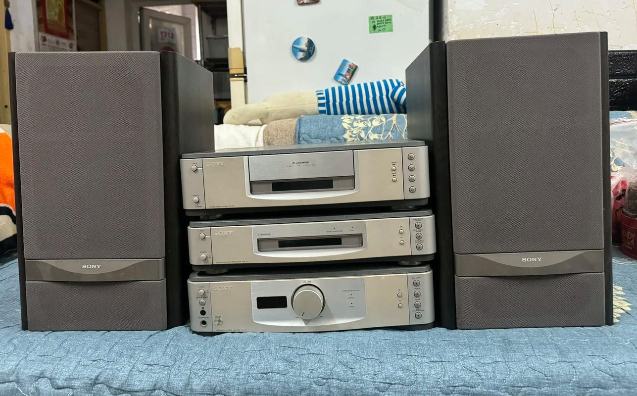 索尼的音响怎么样,索尼的音响怎么样好用吗-第2张图片-优品飞百科 索尼的音响怎么样,索尼的音响怎么样好用吗-第2张图片-优品飞百科