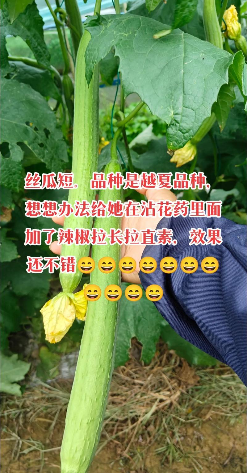 丝瓜借款平台24小时客服电话